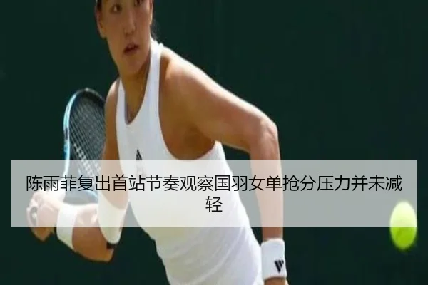 陈雨菲复出首站节奏观察国羽女单抢分压力并未减轻（3DM.GAMES）
